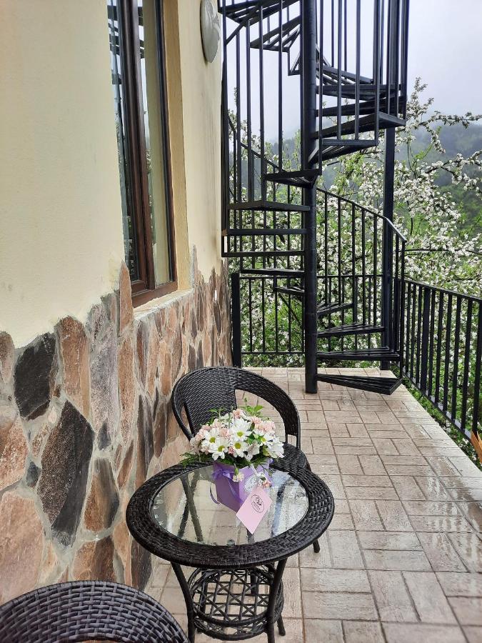 Guest House Bochora Боржоми Экстерьер фото